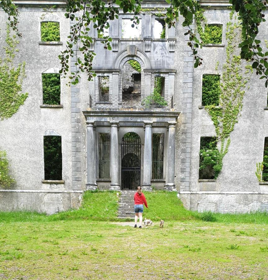 Reed Warbler Cottage Ballinrobe Exteriér fotografie